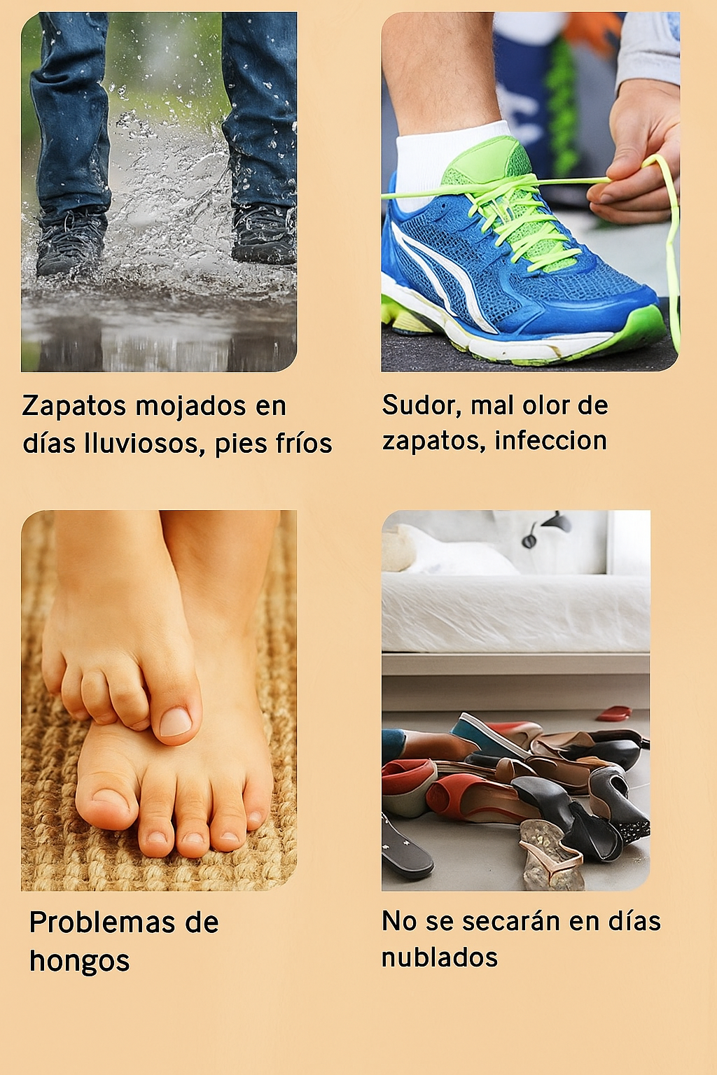 Secador de zapatos; Secador Inteligente